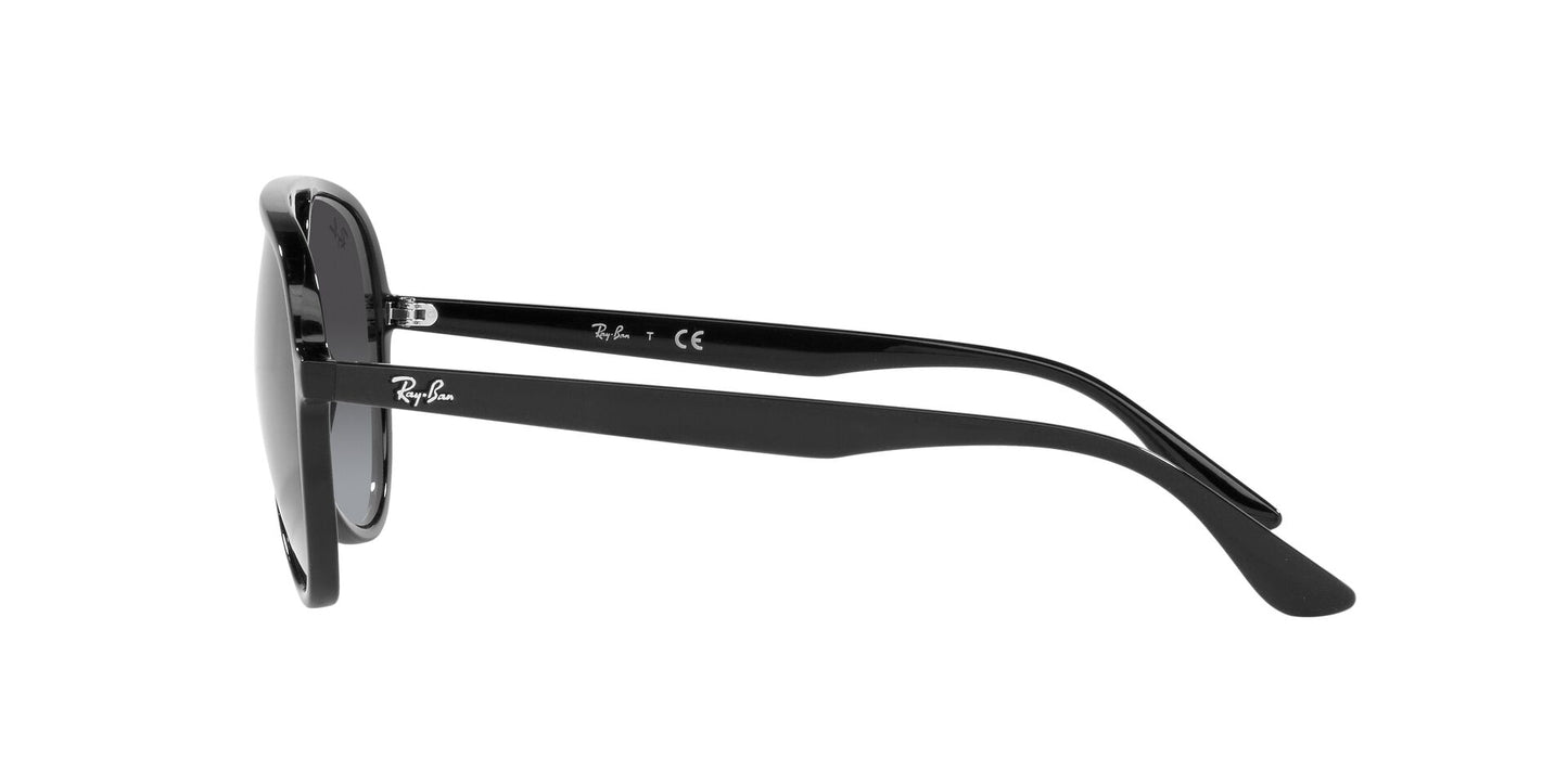 Ray Ban - RB4376