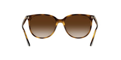 Ray Ban - RB4378