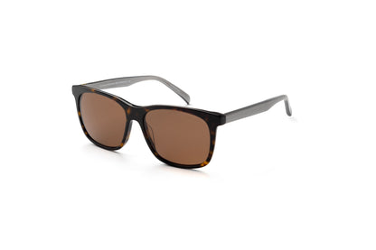 Formula 1 - Accelerate