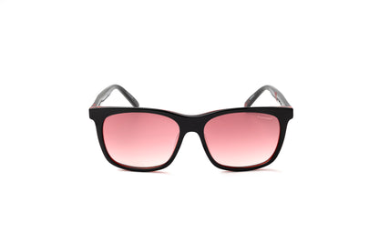 Formula 1 - Accelerate